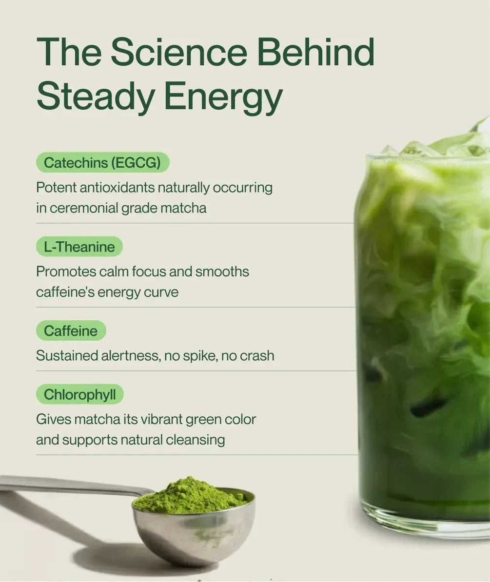 Morning Made Original Matcha Latte Powder — Organic, Sweetened Blend