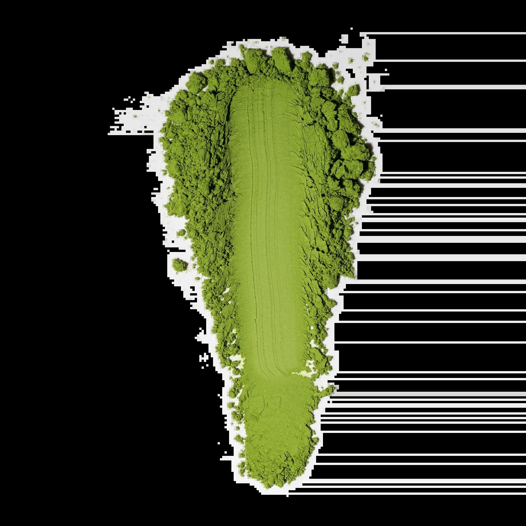Isshiki Samidori Single-Cultivar Ceremonial Matcha — 30g (Uji, Japan)